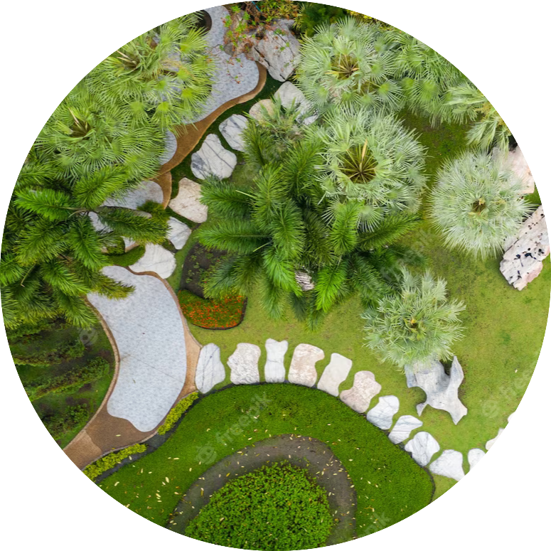 aerial-view-beautiful-green-garden_51195-4292-fotor-20230816162528