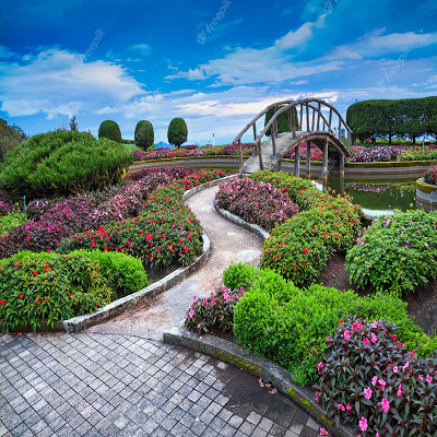 spacious-wellmanicured-backyard-generative-ai_123447-28300 (1)