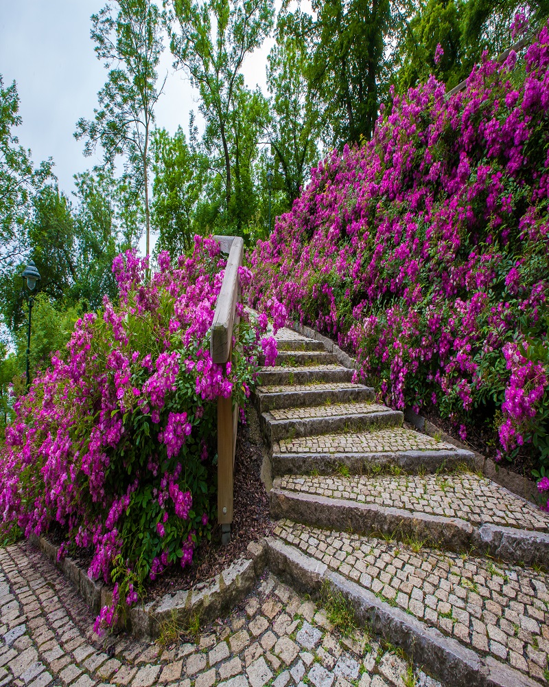 stairs-beautiful-park